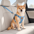 Mirevo Dog Car Safety Belt & Leash