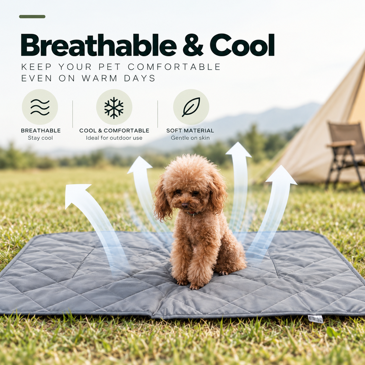 Mirevo Portable Pet Outdoor Mat